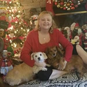 Meet your Posher, Alice